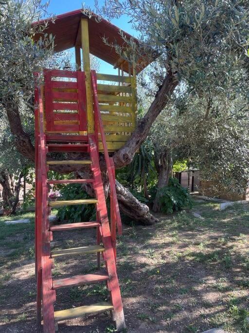 La Dimora Delle Rose Apartment Passignano sul Trasimeno Exterior foto