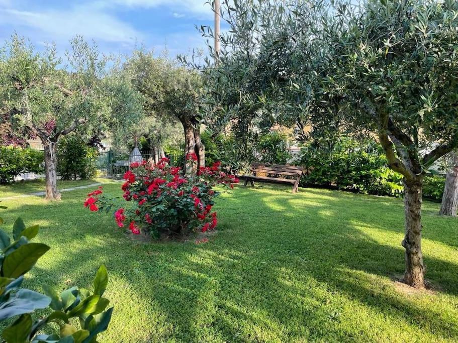 La Dimora Delle Rose Apartment Passignano sul Trasimeno Exterior foto